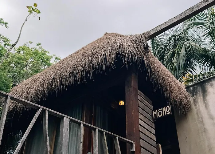 Boa Boa