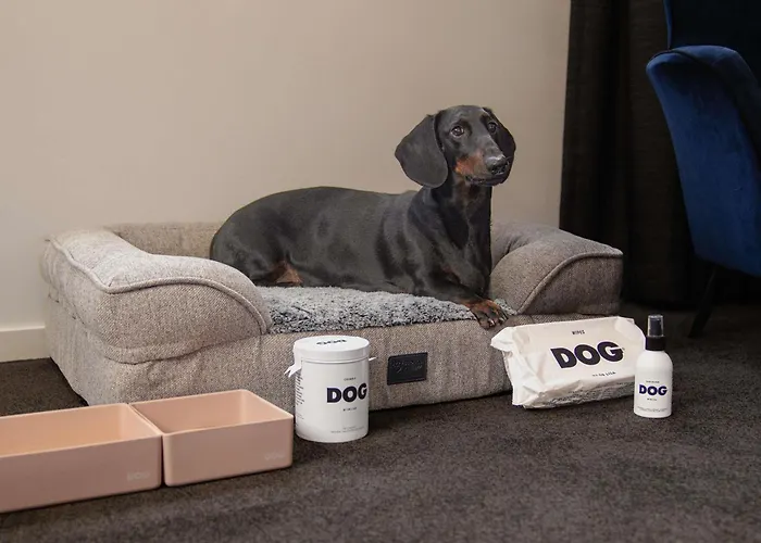 Dog friendly hotels Sebel Canberra Civic