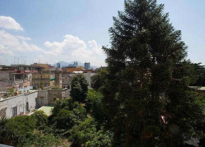 milionaria Foria 242