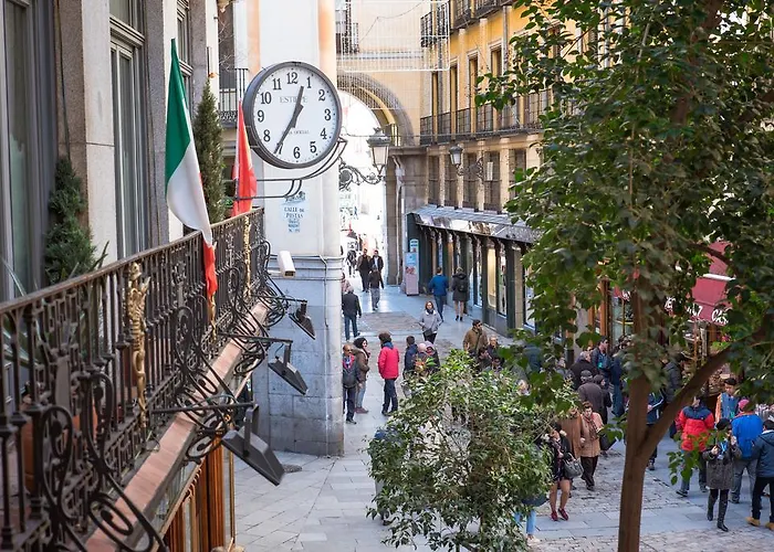 Hotel adatto agli animali: Petit Palace Posada Del Peine