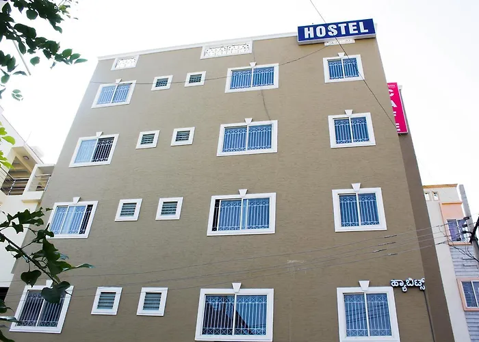 Transit Dorms - A Backpackers Inn &