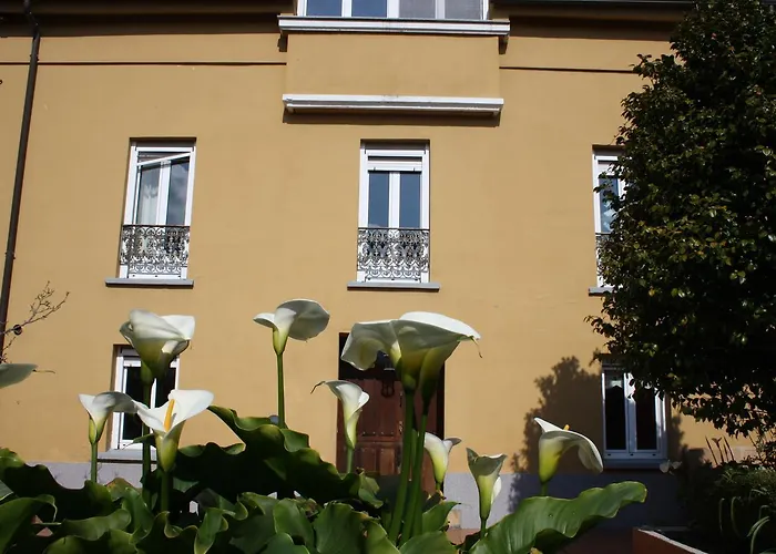 Casa Samuel