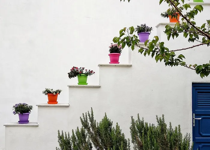 Hotel de 4 estrellas: Dedalos Studios Naxos