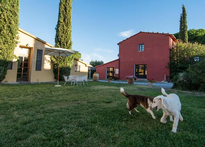 Hotel adatto agli animali: Tenuta Col di Sasso