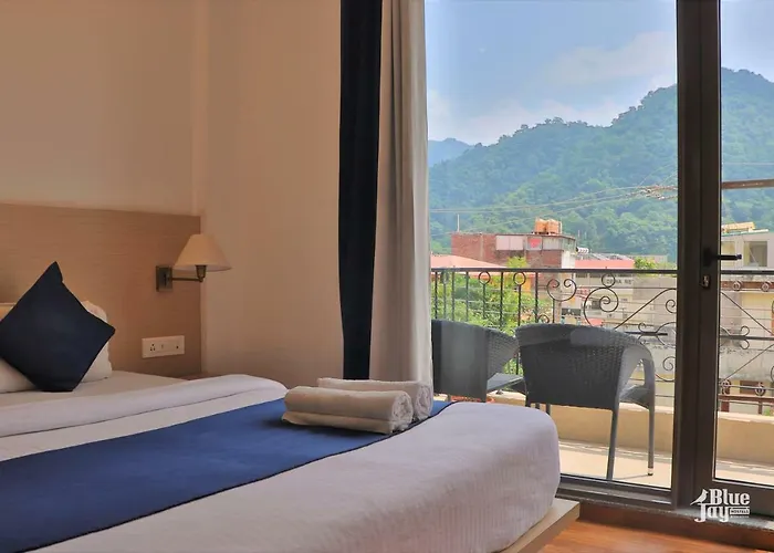 The Hostels Blue Jay - Dorms & Rooms